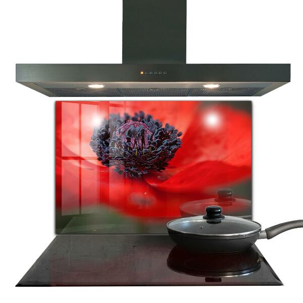 Kitchen panel Red poppy details