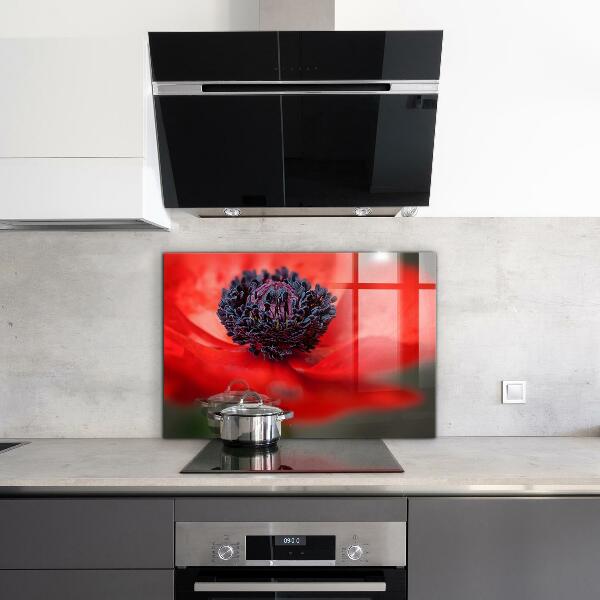 Kitchen panel Red poppy details