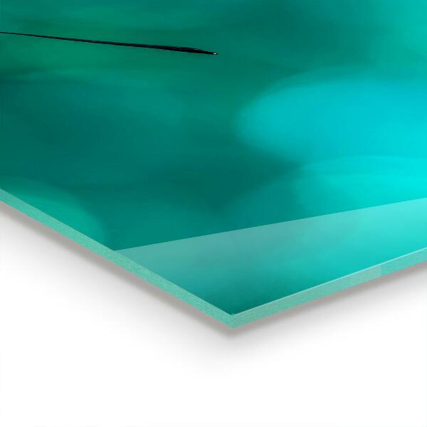 Kitchen wall panels Beautiful butterfly in nature