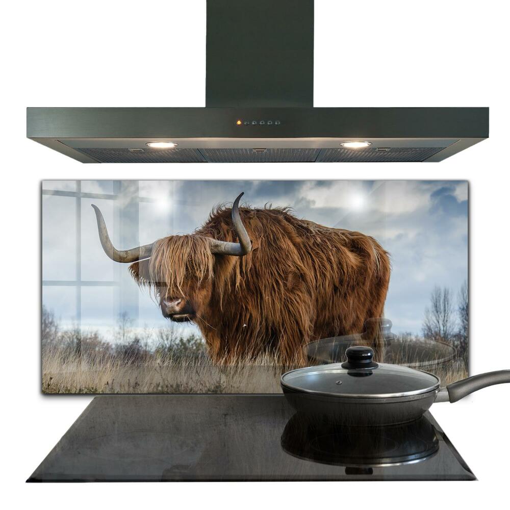 Kitchen wall panels Highland boho cow