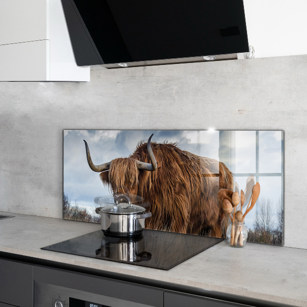Kitchen wall panels Highland boho cow