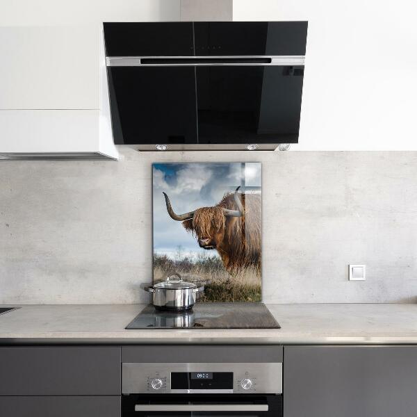 Kitchen wall panels Highland boho cow