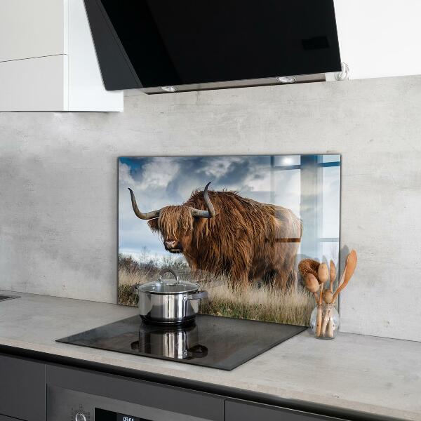 Kitchen wall panels Highland boho cow