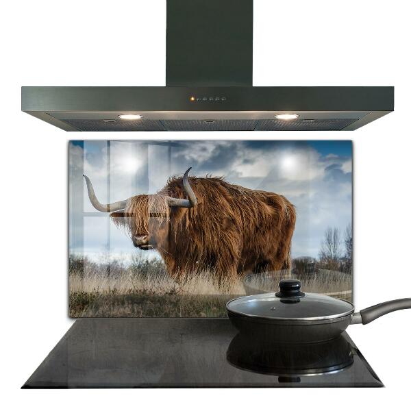 Kitchen wall panels Highland boho cow