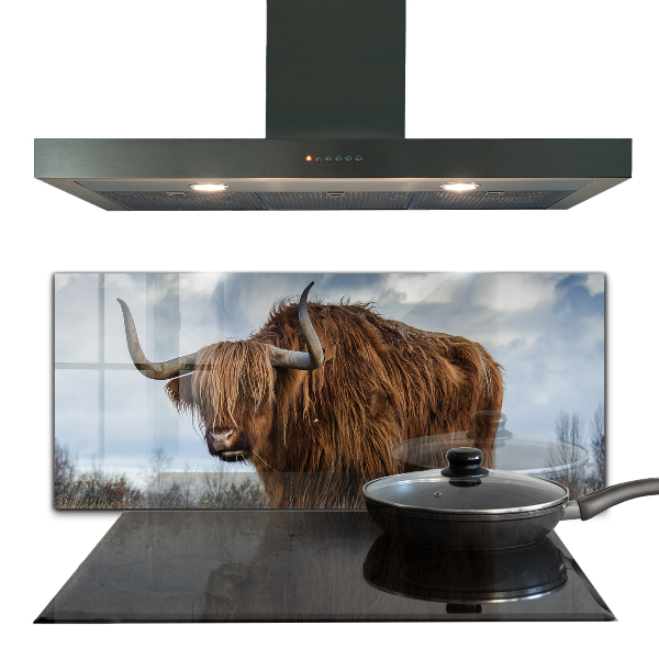 Kitchen wall panels Highland boho cow