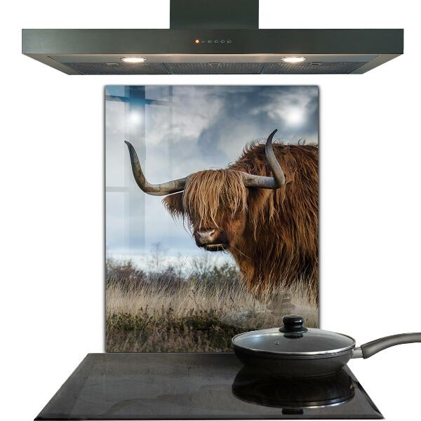 Kitchen wall panels Highland boho cow