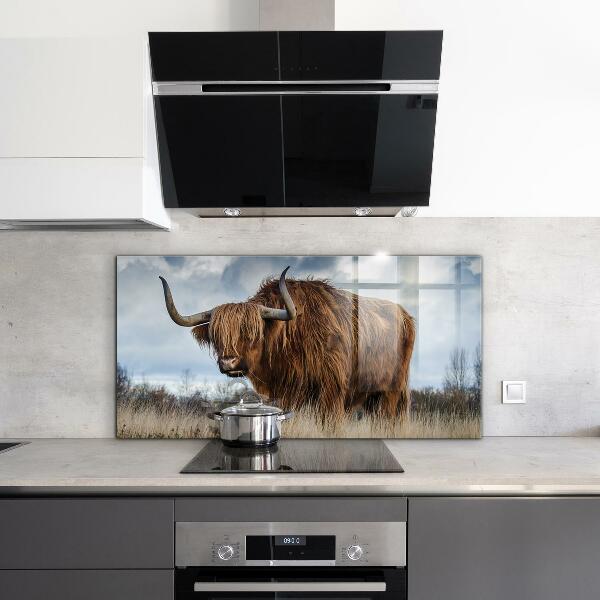 Kitchen wall panels Highland boho cow