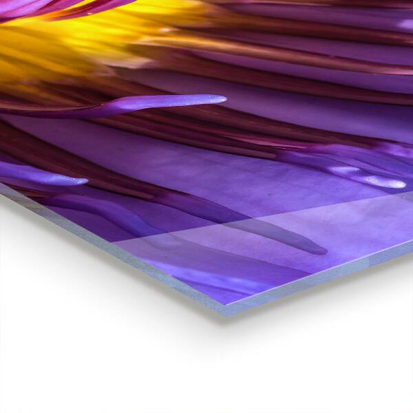 Kitchen panel Purple flower details