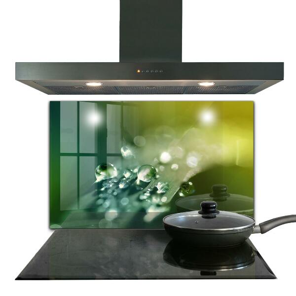 Kitchen panel Dew on green leaves