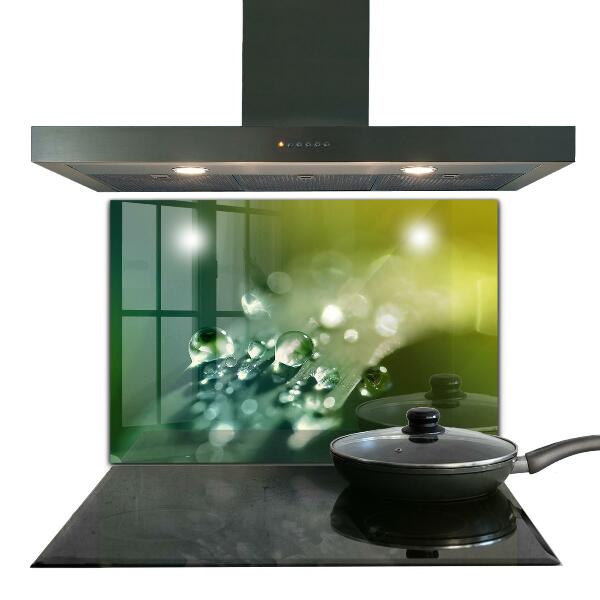 Kitchen panel Dew on green leaves