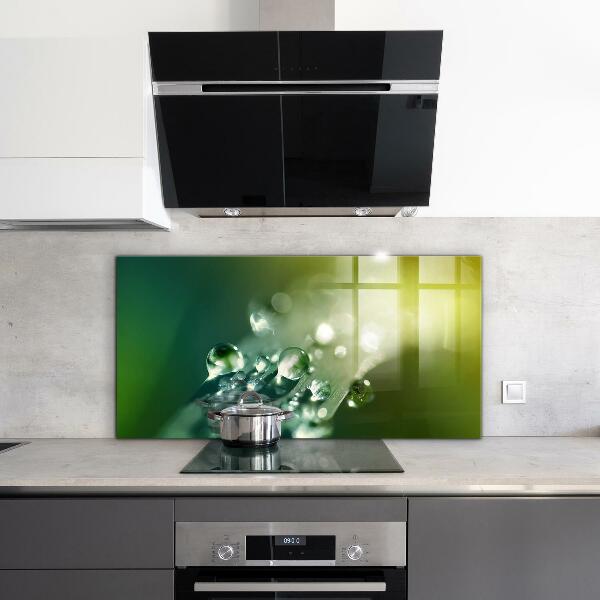Kitchen panel Dew on green leaves