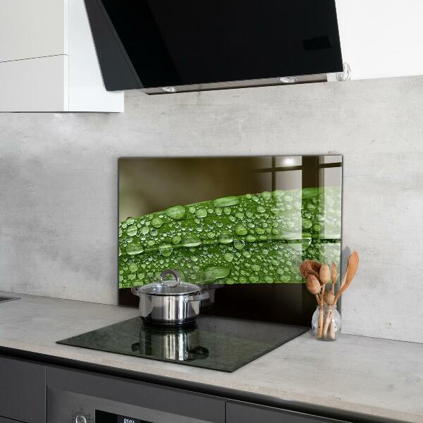 Kitchen panel Green leaf after rain