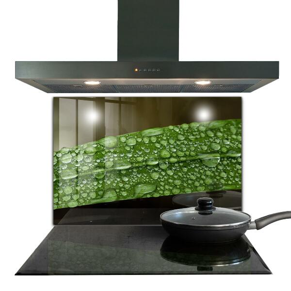 Kitchen panel Green leaf after rain