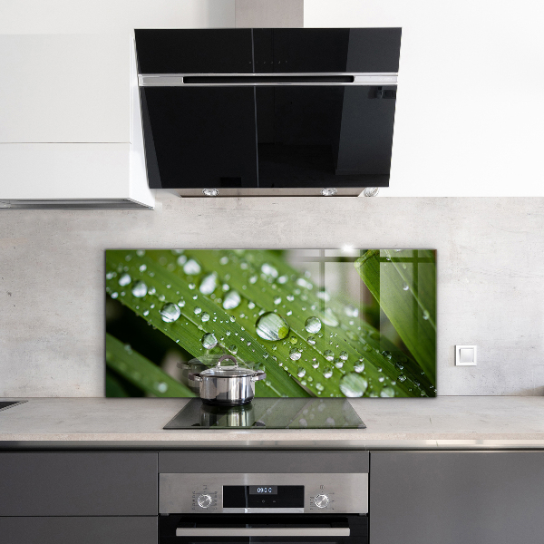 Kitchen panel Dew drops on the grass