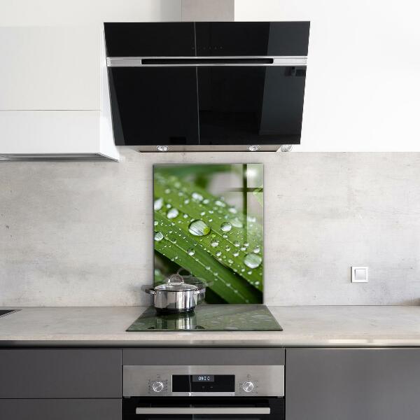 Kitchen panel Dew drops on the grass