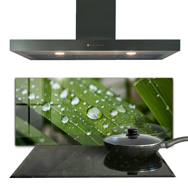 Kitchen panel Dew drops on the grass