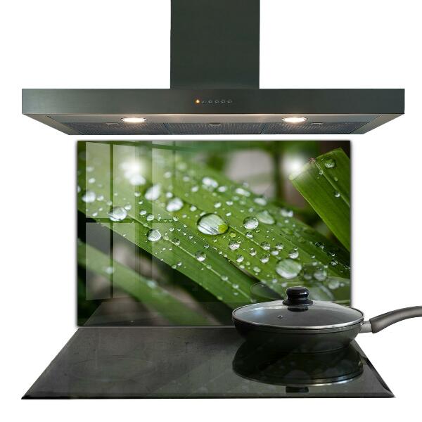 Kitchen panel Dew drops on the grass