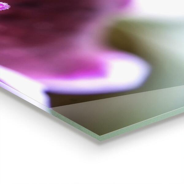 Kitchen panel Pink flower nature details