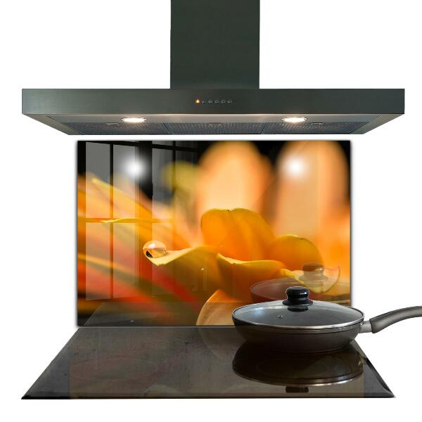 Kitchen panel Gerber flower