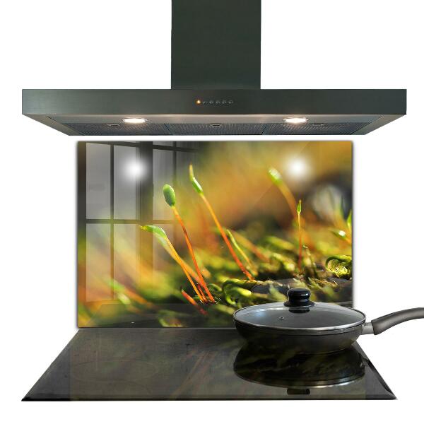 Kitchen wall panels Forest moss details