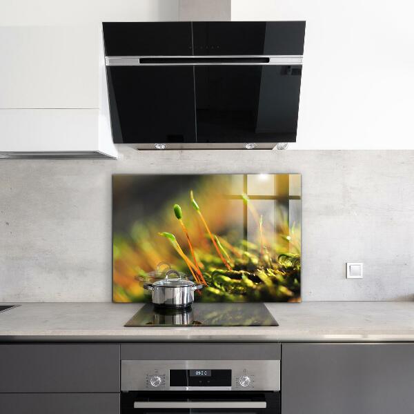 Kitchen wall panels Forest moss details