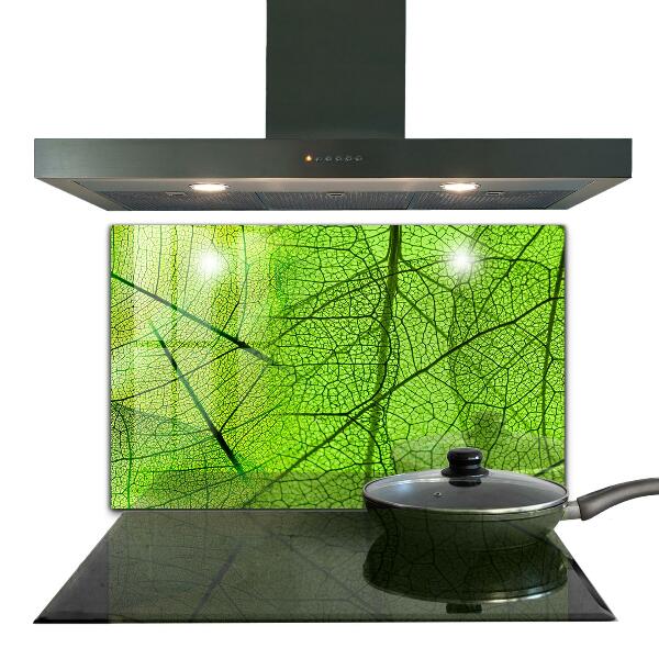 Kitchen splashback Green leaf texture