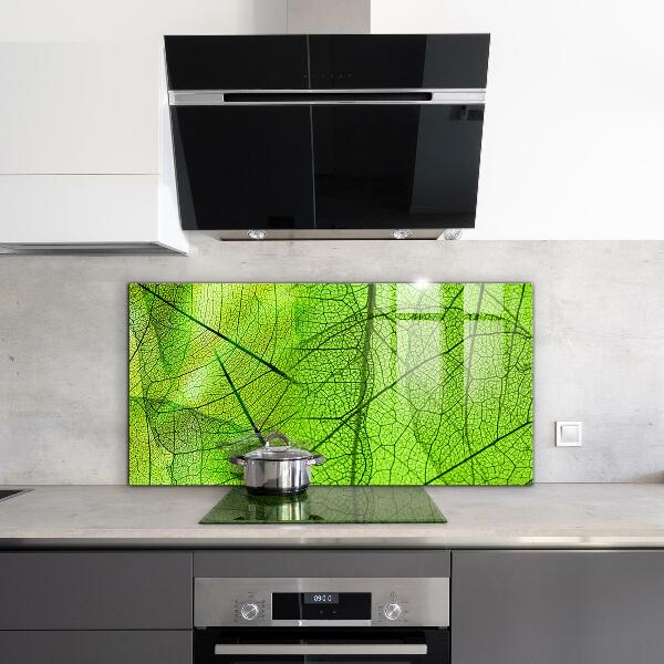 Kitchen splashback Green leaf texture