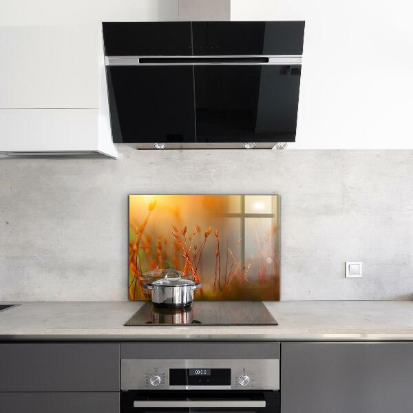 Kitchen splashback Grain field at sunset