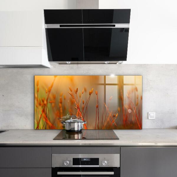 Kitchen splashback Grain field at sunset