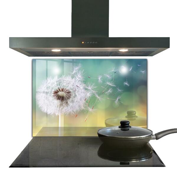 Kitchen splashback Dandelion dandelion in the wind