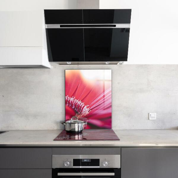 Kitchen splashback Pink flower nature details