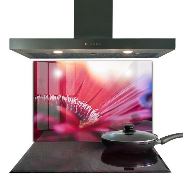 Kitchen splashback Pink flower nature details