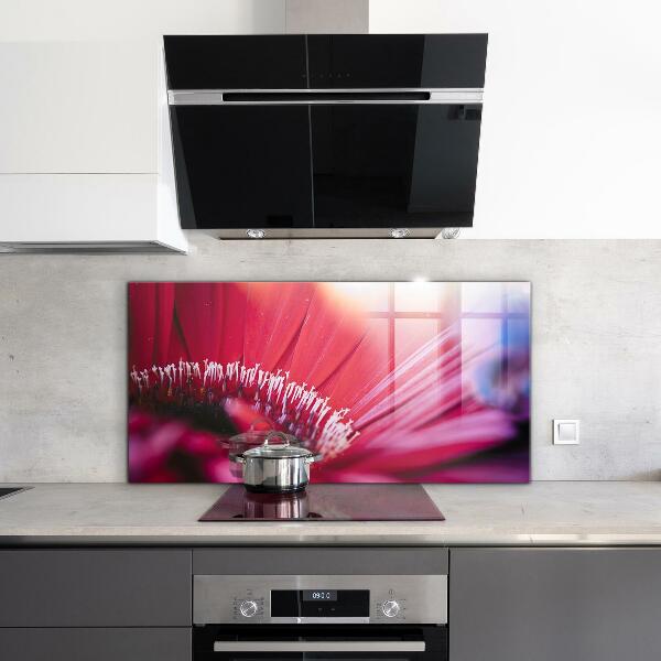 Kitchen splashback Pink flower nature details