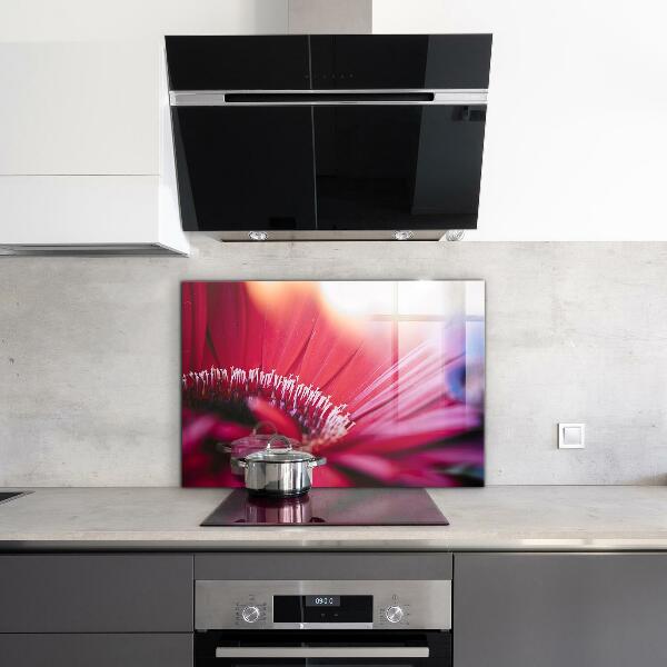 Kitchen splashback Pink flower nature details