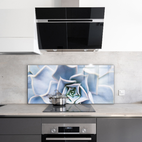 Kitchen splashback Cactus succulent