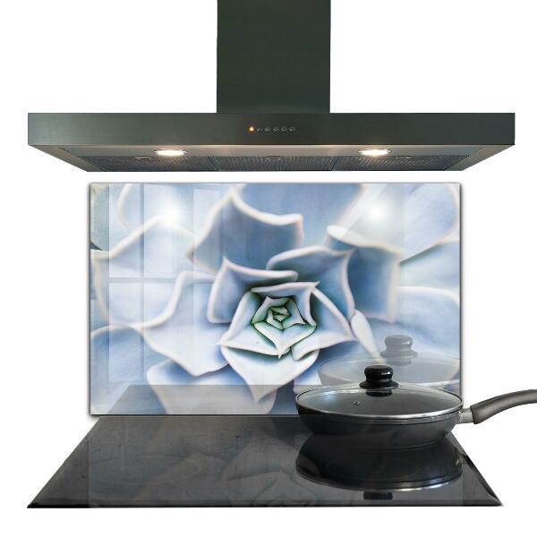 Kitchen splashback Cactus succulent