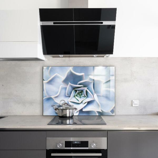 Kitchen splashback Cactus succulent