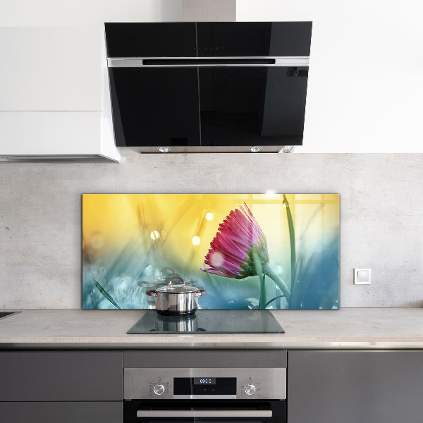 Kitchen splashback Delicate daisy in the meadow