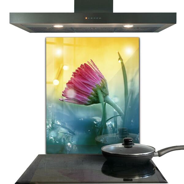 Kitchen splashback Delicate daisy in the meadow