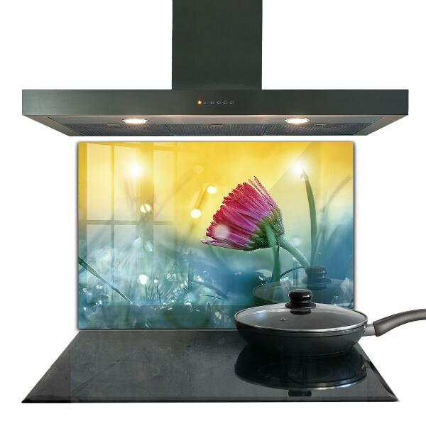 Kitchen splashback Delicate daisy in the meadow