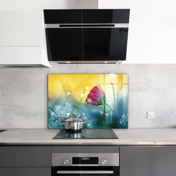 Kitchen splashback Delicate daisy in the meadow