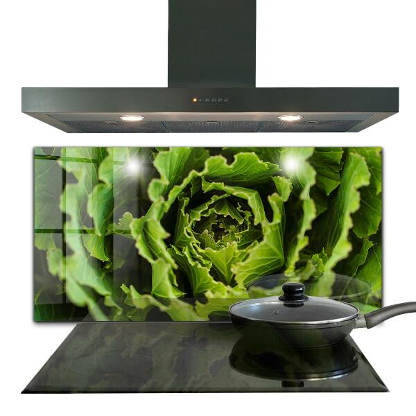 Splashback for kitchen walls Cabbage flower leaves