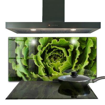 Splashback for kitchen walls Cabbage flower leaves
