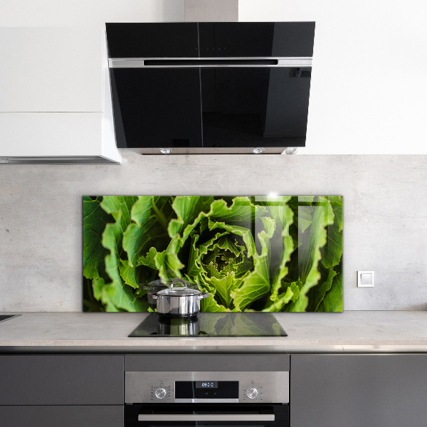 Splashback for kitchen walls Cabbage flower leaves
