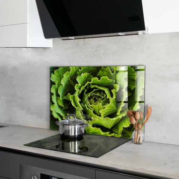 Splashback for kitchen walls Cabbage flower leaves