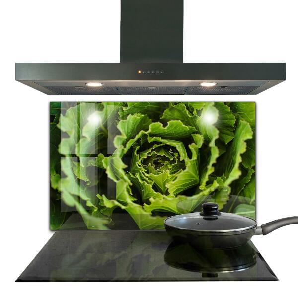 Splashback for kitchen walls Cabbage flower leaves