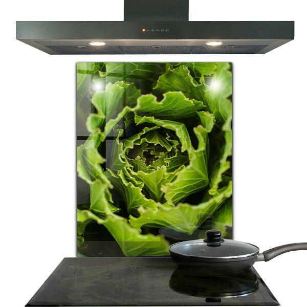 Splashback for kitchen walls Cabbage flower leaves