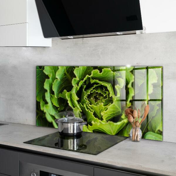 Splashback for kitchen walls Cabbage flower leaves