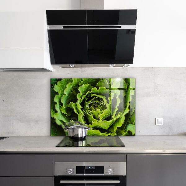 Splashback for kitchen walls Cabbage flower leaves
