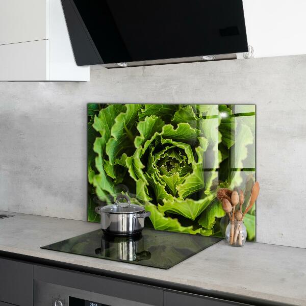 Splashback for kitchen walls Cabbage flower leaves